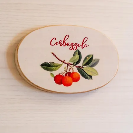 Per Le Vie Del Conero