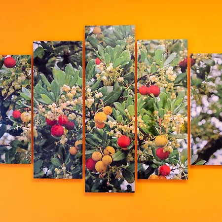 فندق مبيت وإفطار Per Le Vie Del Conero سيرولو